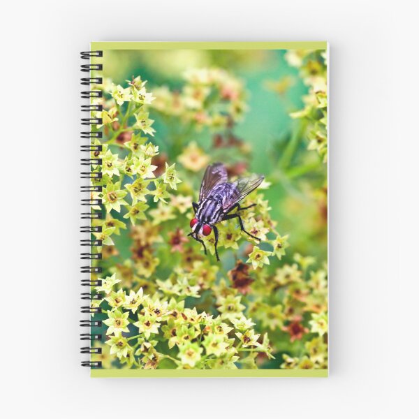 Item preview, Fly designed and sold by QuackerSnaps.