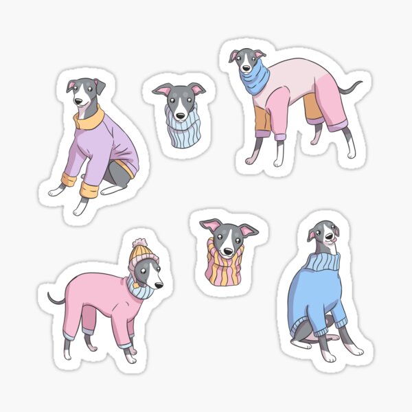 Item preview, Cute whippet dog wearing a sweater pack designed and sold by Yaragold.