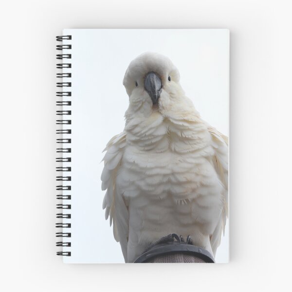 Item preview, Cockatoo with very fluffy feathers against white cloudy sky. designed and sold by smh2.