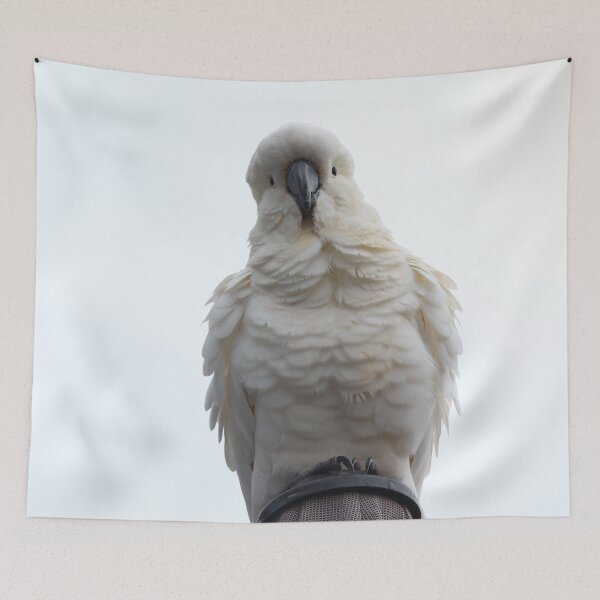 Item preview, Cockatoo with very fluffy feathers against white cloudy sky. designed and sold by smh2.