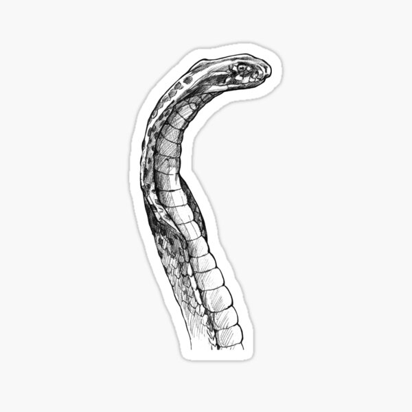 Cobra Sticker