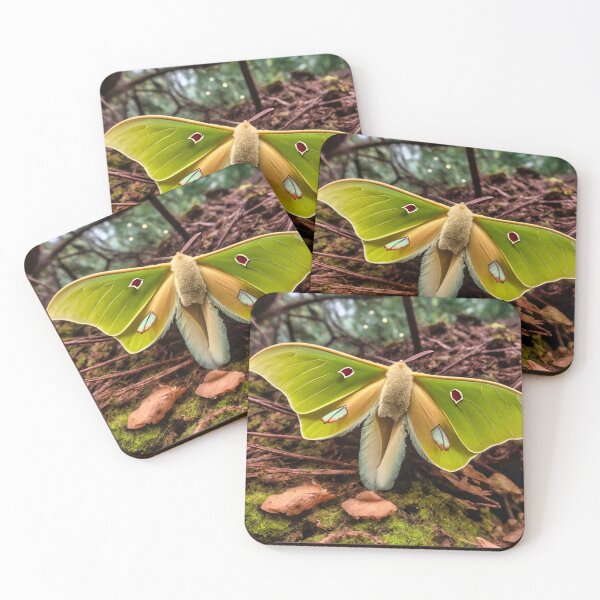 Item preview, Luna Moth - Red Eye 2 designed and sold by Glenburn Graphics.