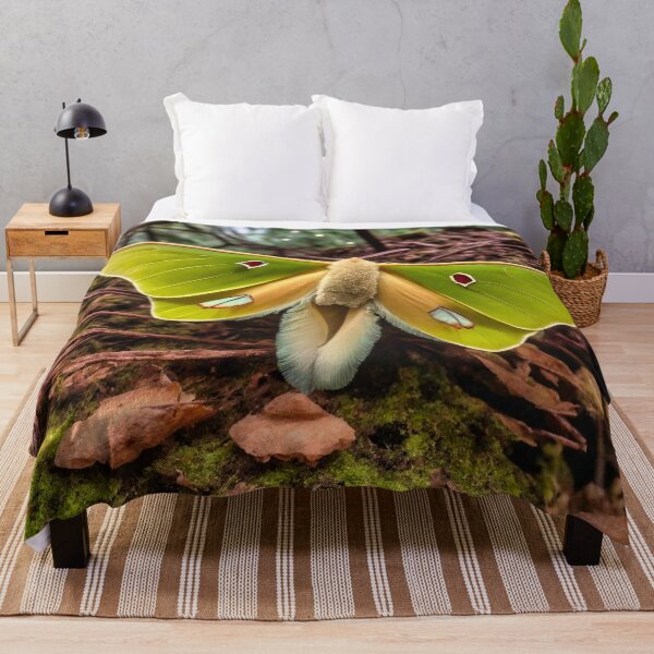 Item preview, Luna Moth - Red Eye 2 designed and sold by Glenburn Graphics.