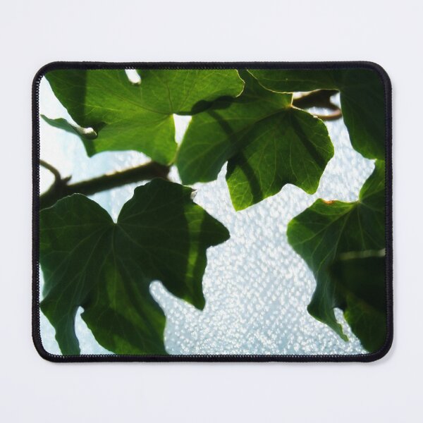 Item preview, Colorful Ivy designed and sold by Lee's Place.
