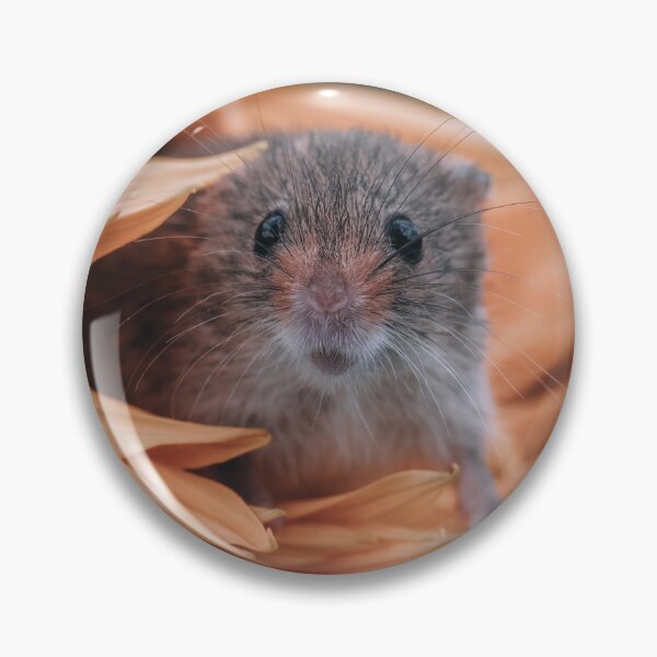 Item preview, Hide and Seek designed and sold by Adrian Rowley.
