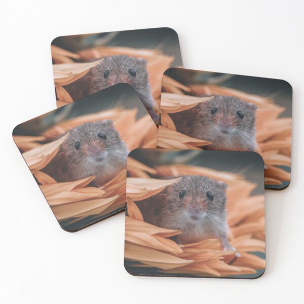 Item preview, Hide and Seek designed and sold by Adrian Rowley.