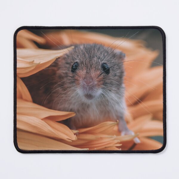 Item preview, Hide and Seek designed and sold by Adrian Rowley.
