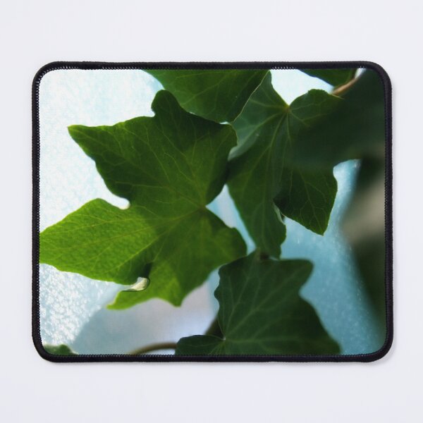 Item preview, Colorful Ivy designed and sold by Lee's Place.