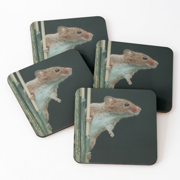 Item preview, Harvest Mouse on a stem of Barley showing all its acrobatic prowess. designed and sold by Adrian Rowley.