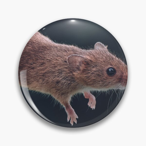 Item preview, Harvest Mouse on a stem of Barley defying the laws of gravity designed and sold by Adrian Rowley.