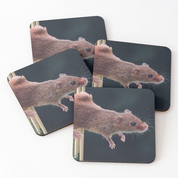 Item preview, Harvest Mouse on a stem of Barley defying the laws of gravity designed and sold by Adrian Rowley.