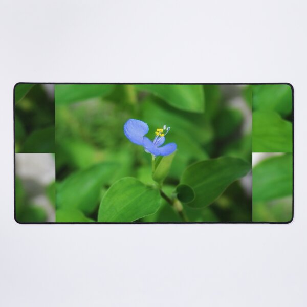 Item preview, Tiny blue flower designed and sold by Lee's Place.