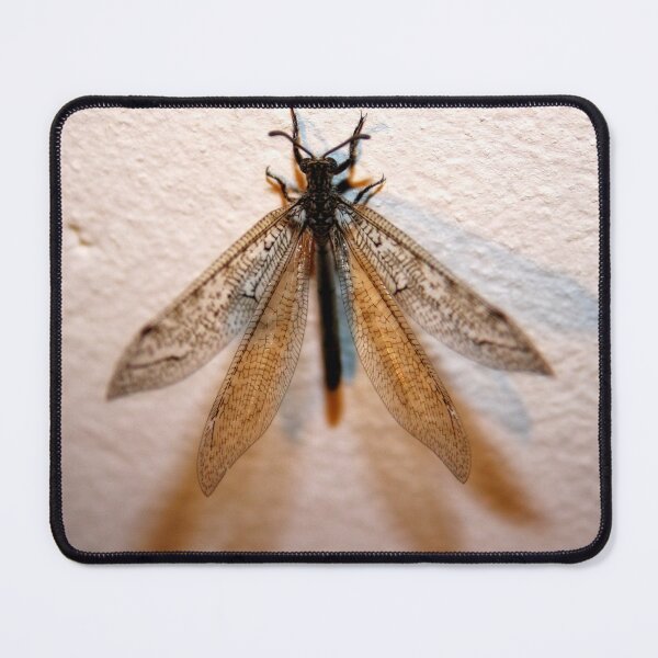 Item preview, Dragon fly designed and sold by Lee's Place.
