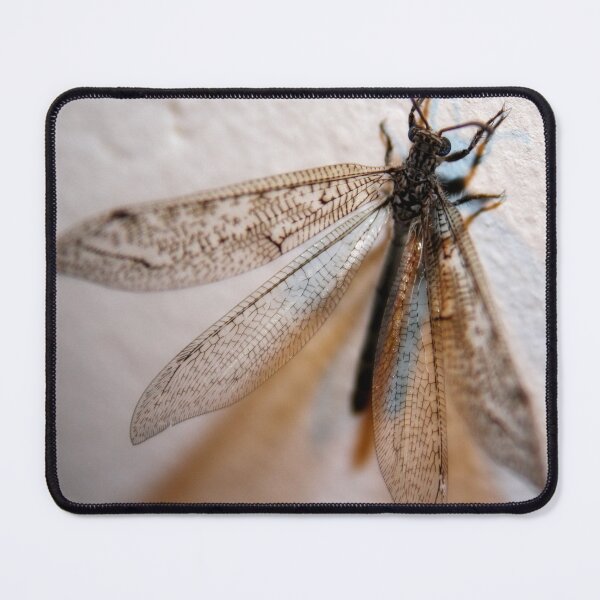 Item preview, Dragon fly designed and sold by Lee's Place.