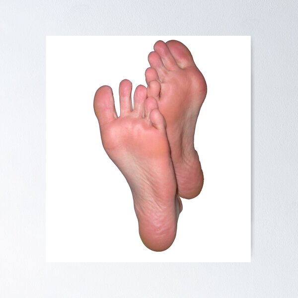 Barefoot Pussy - Funny Feet Meme Posters for Sale | Redbubble