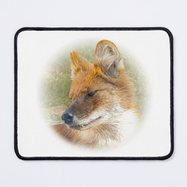 Item preview, Dhole-Asian wild dog designed and sold by Guardi71.