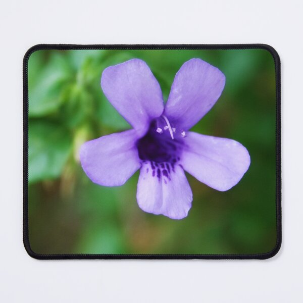 Item preview, Purple flower designed and sold by Lee's Place.