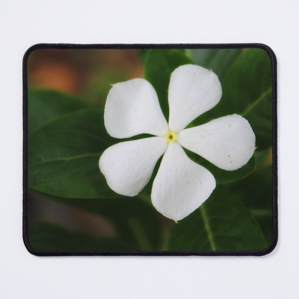 Item preview, White flower designed and sold by Lee's Place.