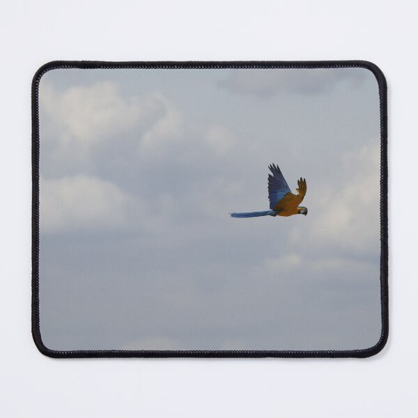 Item preview, Parrot flies designed and sold by AnkesPapageien.