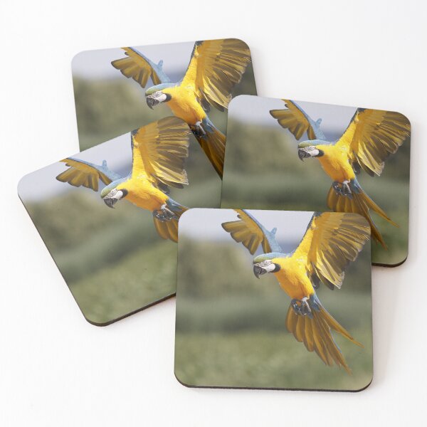 Item preview, Parrot about to land designed and sold by AnkesPapageien.
