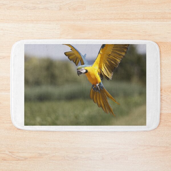 Item preview, Parrot about to land designed and sold by AnkesPapageien.