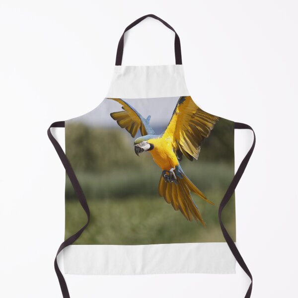 Item preview, Parrot about to land designed and sold by AnkesPapageien.