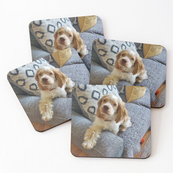 Item preview, This is Bentley designed and sold by jphillipscott.