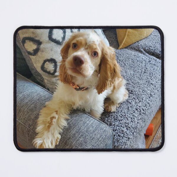 Item preview, This is Bentley designed and sold by jphillipscott.