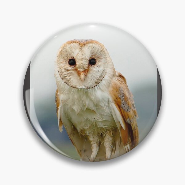 Item preview, Suffolk Barn Owl  designed and sold by jimmyboysnapz.
