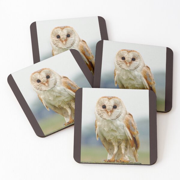 Item preview, Suffolk Barn Owl  designed and sold by jimmyboysnapz.
