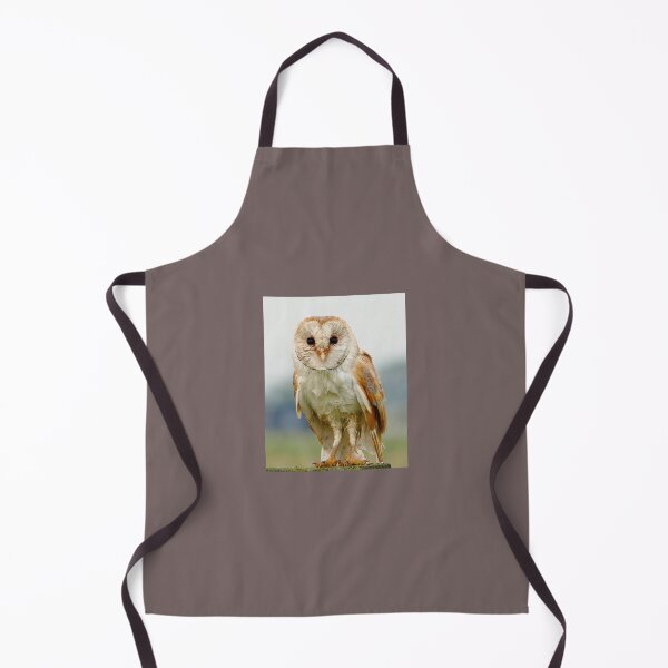 Item preview, Suffolk Barn Owl  designed and sold by jimmyboysnapz.