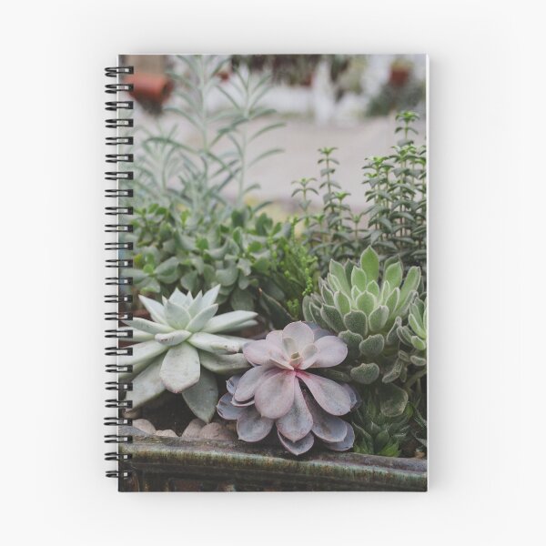 Item preview, Mixed Succulents designed and sold by tomorrowsart.