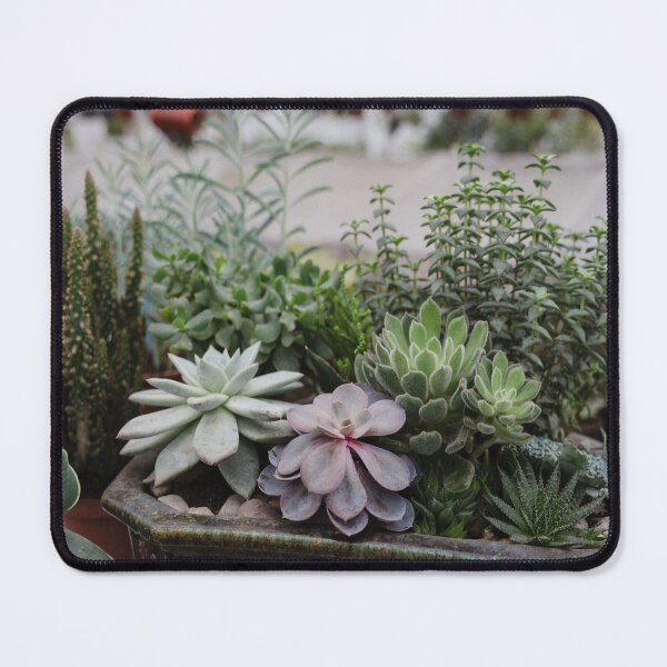 Item preview, Mixed Succulents designed and sold by tomorrowsart.