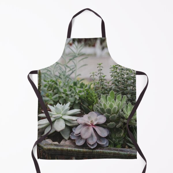 Item preview, Mixed Succulents designed and sold by tomorrowsart.