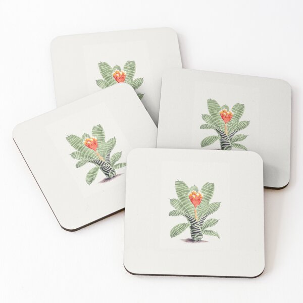 Item preview, Plant fine illustration for home decoration. Hand drawn Tillandsia Musaica. designed and sold by paulo silveira.
