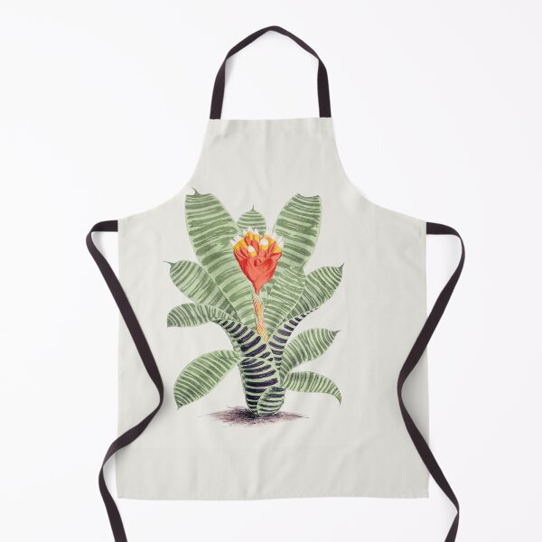 Item preview, Plant fine illustration for home decoration. Hand drawn Tillandsia Musaica. designed and sold by paulo silveira.