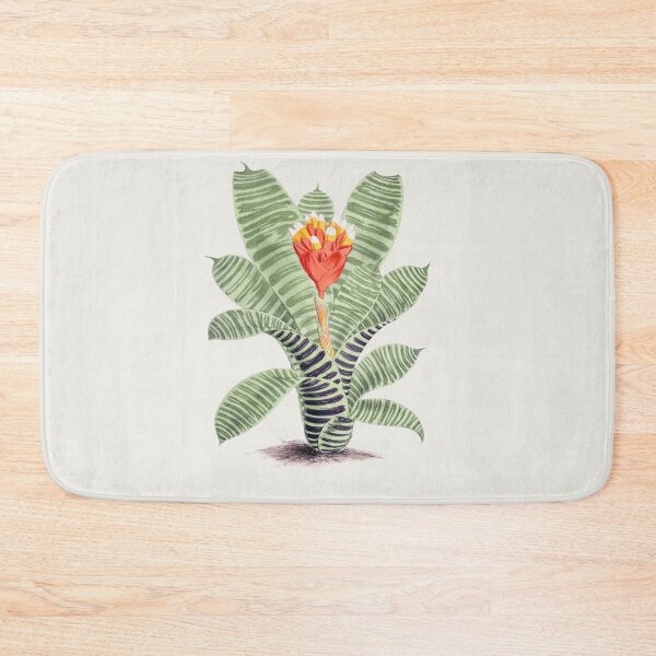 Item preview, Plant fine illustration for home decoration. Hand drawn Tillandsia Musaica. designed and sold by paulo silveira.