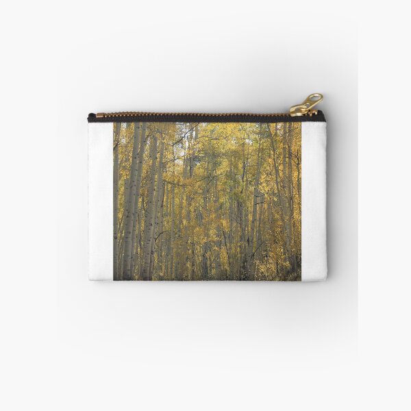 Artikelvorschau, Aspen-Straße entworfen und verkauft von Paszekphotos.