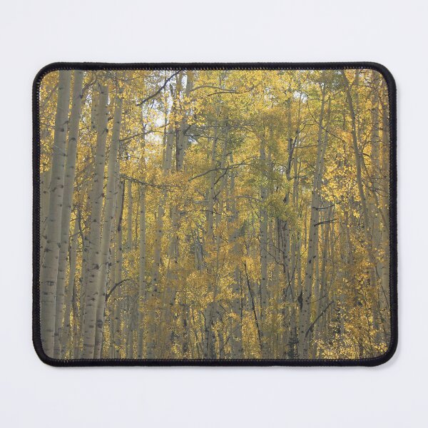 Item preview, Aspen road designed and sold by Paszekphotos.