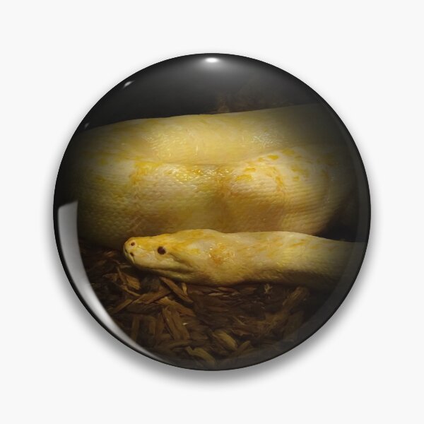 Artikelvorschau, Albino-Python entworfen und verkauft von Guardi71.