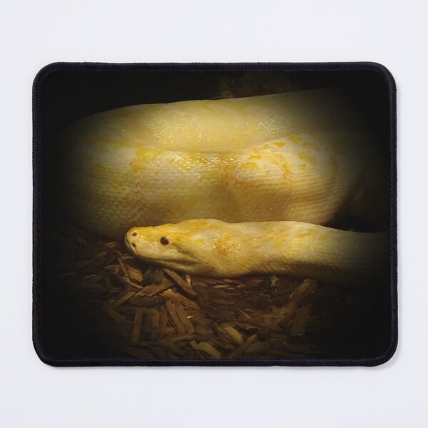 Artikelvorschau, Albino-Python entworfen und verkauft von Guardi71.