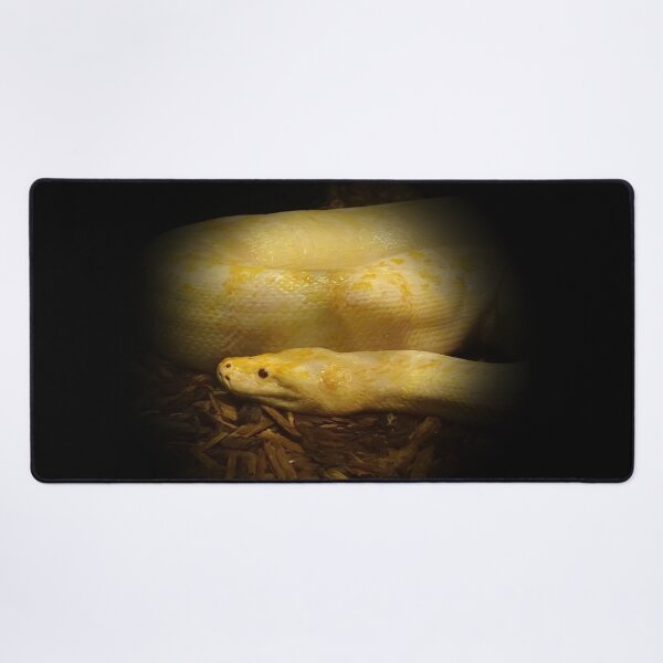 Artikelvorschau, Albino-Python entworfen und verkauft von Guardi71.