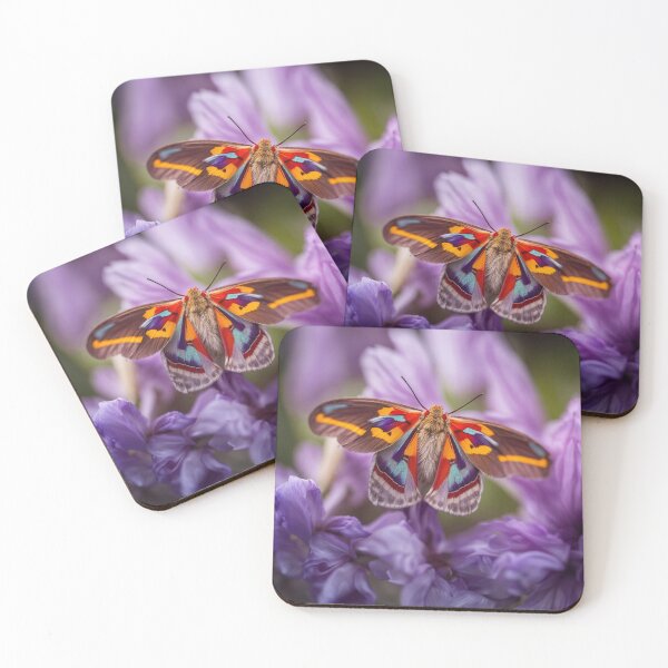 Artikelvorschau, Red Eye Moth - Multi-Color entworfen und verkauft von Glenburn Graphics.