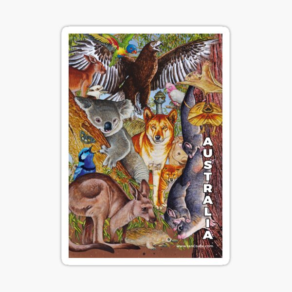 Australian Animals Designs Sticker