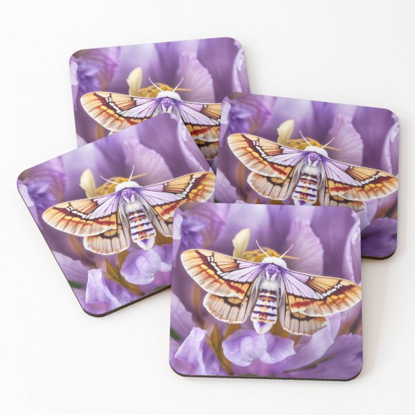 Artikelvorschau, Violet Moth - Purple Flyer entworfen und verkauft von Glenburn Graphics.