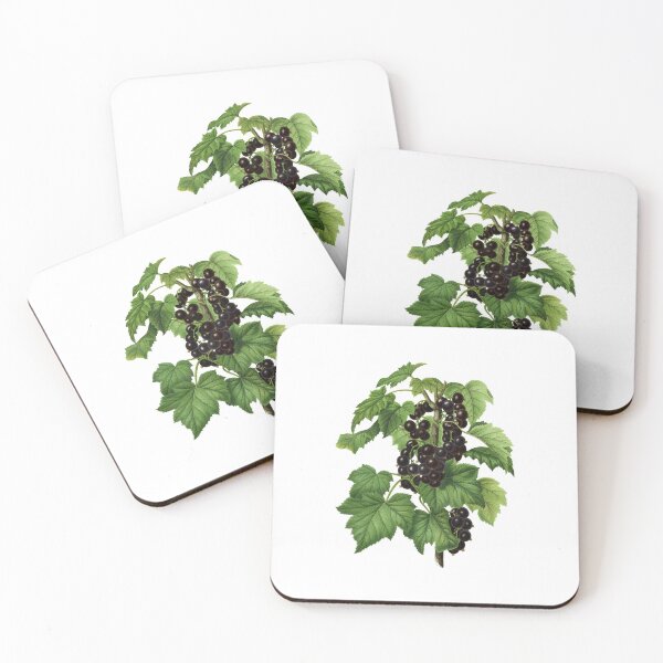 Item preview, Ribis Nigrum designed and sold by portokalis.