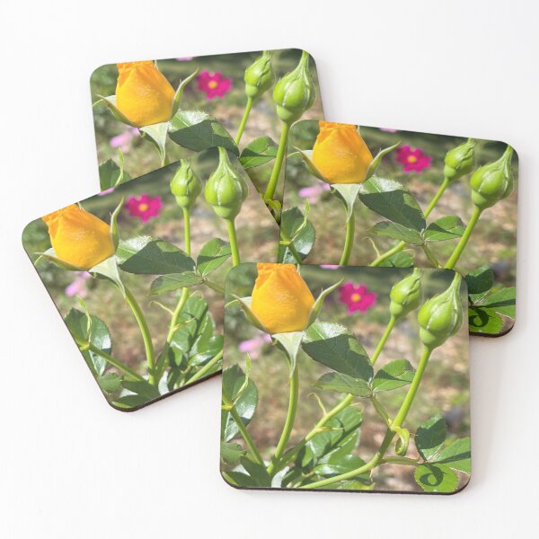 Item preview, Rose, rose buds and thorns: designed and sold by TherapeuticNest.