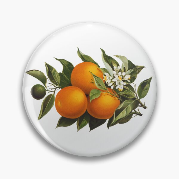 Item preview, Oranges designed and sold by portokalis.