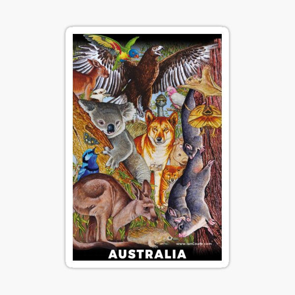 Australian Animals Designs 2 Sticker