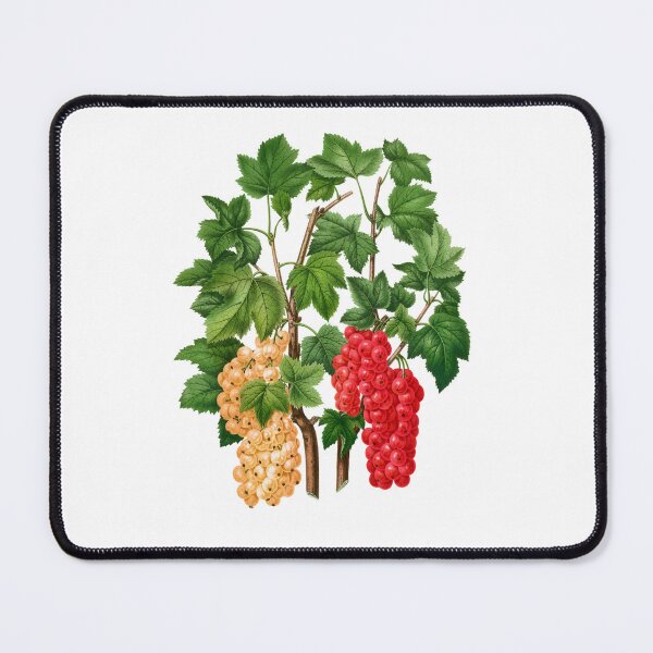 Item preview, Ribis Rubrum designed and sold by portokalis.